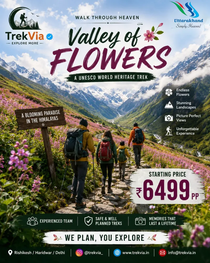Valley  Of Flowers